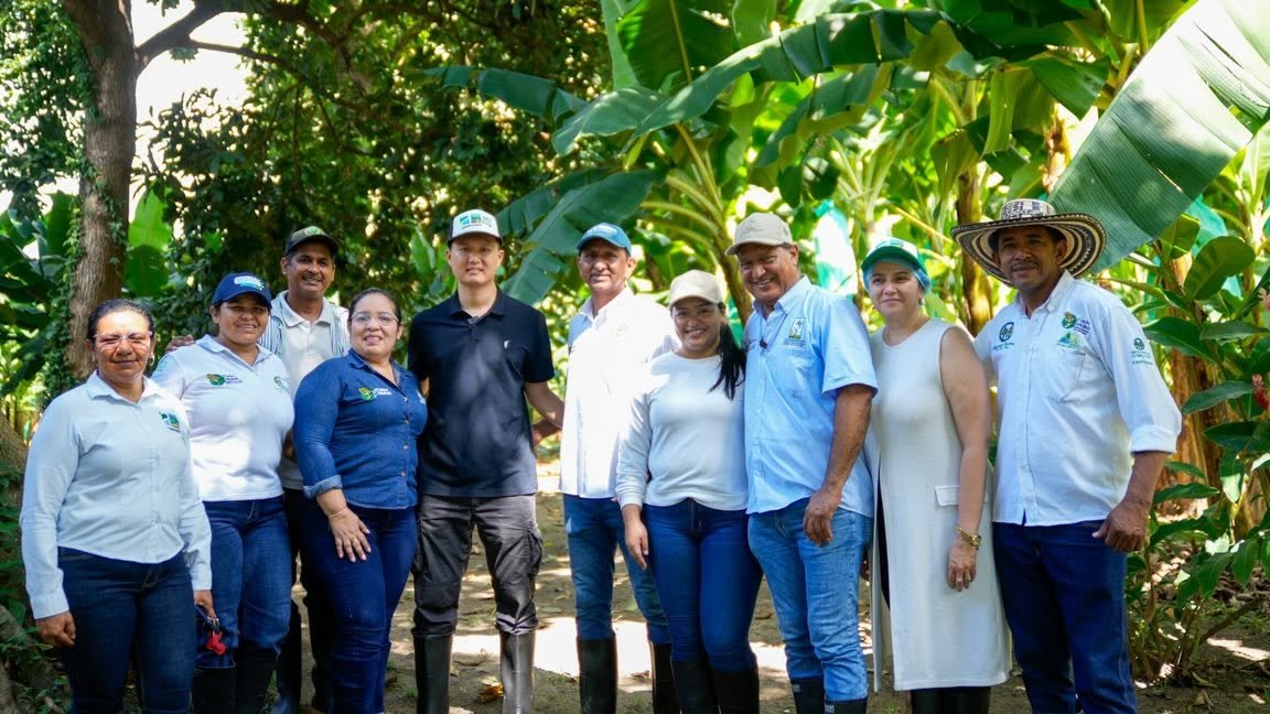 Pequeños productores de banano de Zona Bananera recibieron visita de la Agencia de Desarrollo Rural y delegación asiática