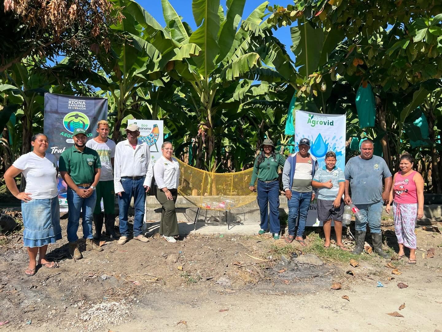 Asocoomag, las cooperativas y Fundación Grupo Agrovid lanzan los EcoBananos para promover el cuidado ambiental